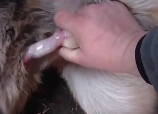 Dude gives this animal a nice handjob in a hot porno movie here