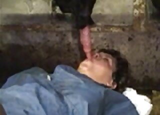 Fat lady with saggy boobs stuffing her mouth full of horse cock