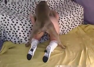 Perro folla a chica a cuatro patas mientras ella lleva sus botas sexys