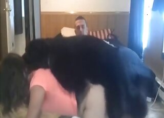 Attractive lady with dark hair is prepared to get fucked by a dog