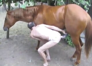 Impresionante película de sexo al aire libre con un zoófilo pálido y un caballo marrón