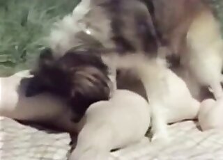 Hot animal continues to lick the owner's pussy during a picnic