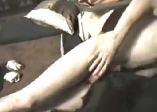 Guy uses his penis to terrorize a gay dog's tight asshole sideways