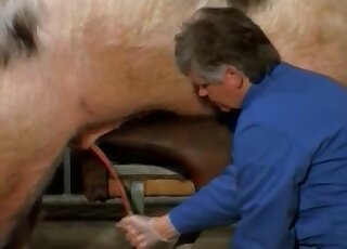 Dude gives his pig a nice handjob just because he can get it off