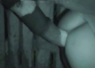 Nighttime zoophilic experience for a guy that bottoms for a horse