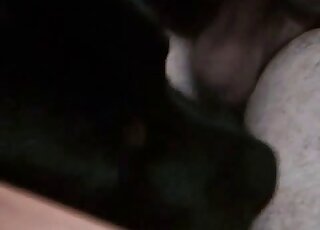 Black animal gets fucked upclose and the dude is grunting happily