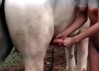 Skinny zoophile whore passionately strokes horse's dick outdoors