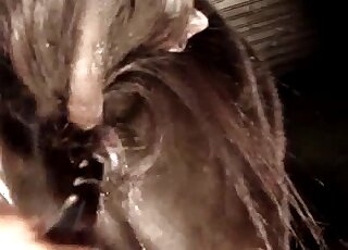 Dude wants to finger a mare's pussy because he loves the moisture