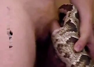 BBW mature babe and her husband have naughty threesome with snake