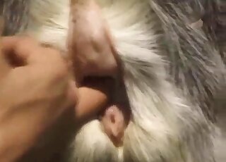 Chubby redhead holds goat while husband gives pussy fingering