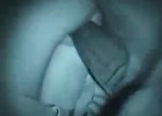 Zoophiliac adores getting his ass dominated by big horse dick