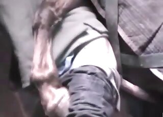 Amateur dude awaits deep anal shafting from a giant horse cock