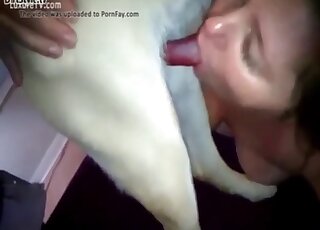 Teen girl is filmed on camera while sucking off her pet dog