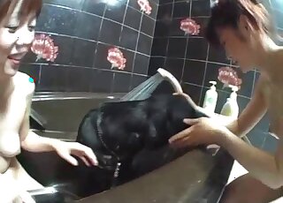 Zoo threesome - Skinny Asian girls are taking a bath with black dog