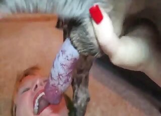 Una cougar sgualdrina sta succhiando ogni goccia di sperma dal cazzo eretto del cane