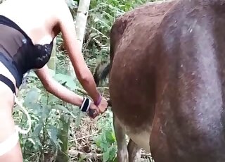 Donkey gets his long cock stroked and licked by masked vixen