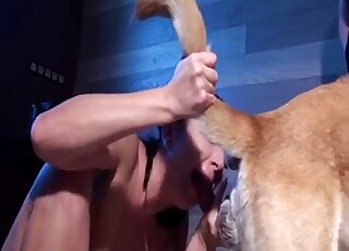 Busty brunette gal needs to lick dog pecker on camera