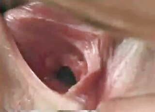 Huge dick of a horse is about to penetrate zoophile slut's cunt