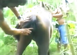 El coño de un animal se deja tocar antes de que él decida entrar con toda su fuerza