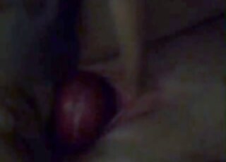Sideways recording showing a brown dog fucking her tight pussy