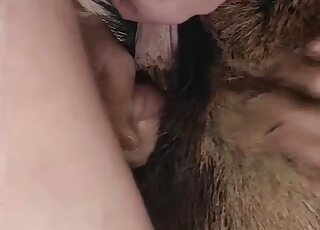 Closeup fucking with a furry beast that really seems attractive