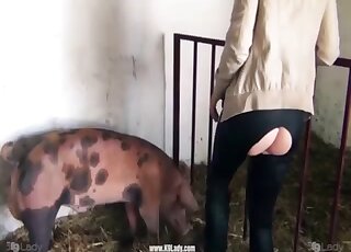 This farm fucking movie almost looks like a crime of passion