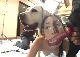 Una belleza con un agujero peludo se deja follar después de disfrutar de una mamada descuidada