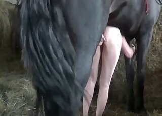 Busty amateur endures heavy horse cock in both holes