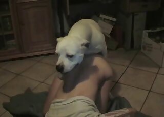 White dog fucks amateur wife in home alone XXX anal