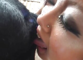 Sloppy Japanese zoophilia shows horny slut ass licking the dogs