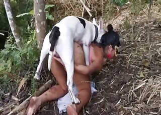 Big ass Latina in outdoor forest scenes of rough animal sex