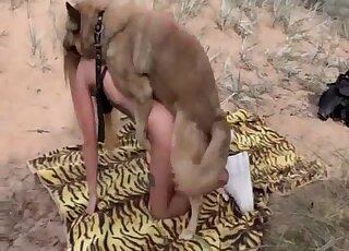Dog humps blonde beauty in outdoor cam scenes and comes inside her