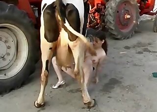 Nude amateur plays with the cow's utterus for perverted solo action