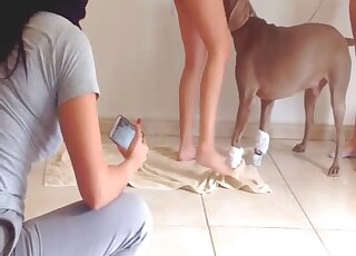 Curvy bitches take the same dong tool for a few wild rounds on cam