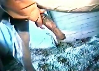 Zoophile enjoys performing a handjob to a horse during zoo porn