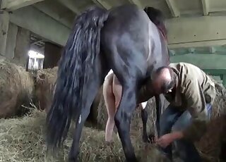 Horse porn makes busty amateur woman lose control
