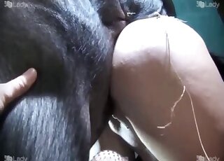 Pig deep fucks naked woman while she moans for sperm on ass