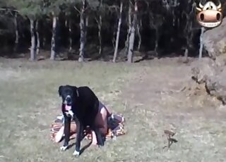 Thin woman enjoys fine outdoor sex treat with both her dogs