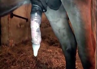 Merciless horny fucks tight cunt of a zoophile during zoo porn in stables