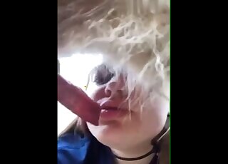 Dirty-talking blonde gives this dog a nice close-up blowjob here