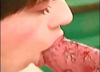 مجموعة من عمليات المص التي تم عرضها خلال مشاهد إباحية مختلفة في حديقة الحيوانات