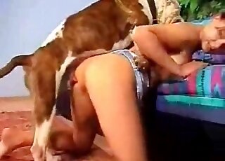 XXX bestiality action exposing the way doggie fucks horny bitch