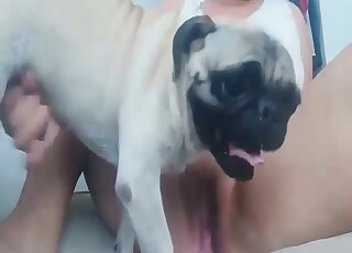 Terrific oral and vaginal domination with horny lady dressed in white