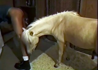 Awesome movie with pony that loves pounding women in the dark