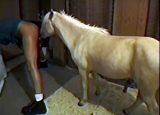 Awesome movie with pony that loves pounding women in the dark