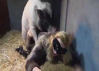 Black mask lady is ready to let this pig fuck her in the barn
