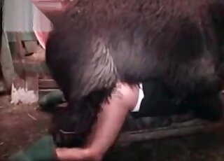 Nasty zoophile tries new types of hot fucking during kinky zoo porn