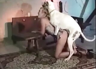 Massive white dog hammers wet twat of a blond chick from behind