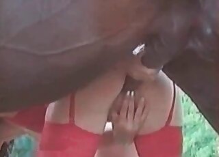 Zoophile whore in red stockings plays with an erected shaft of a horse