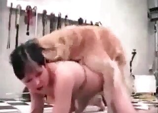 Short-haired brunette zoophile chick endures non-stop fucking by a dog